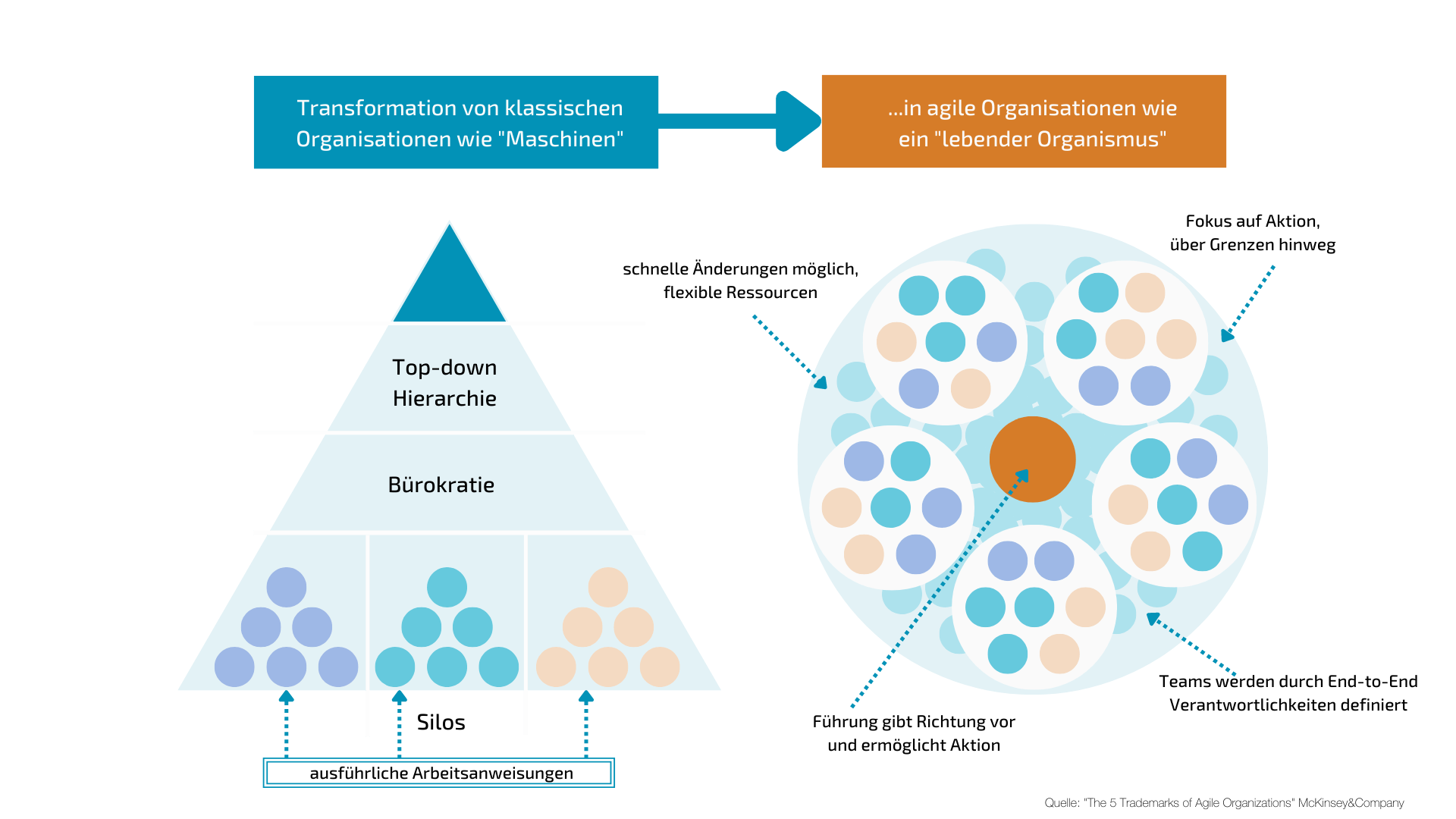 Abbildung 4 Entwicklung zur agilen Organisation als neues Organisationsparadigma (Quelle: 'The 5 Trademarks of Agile Organizations' McKinsey&Company)