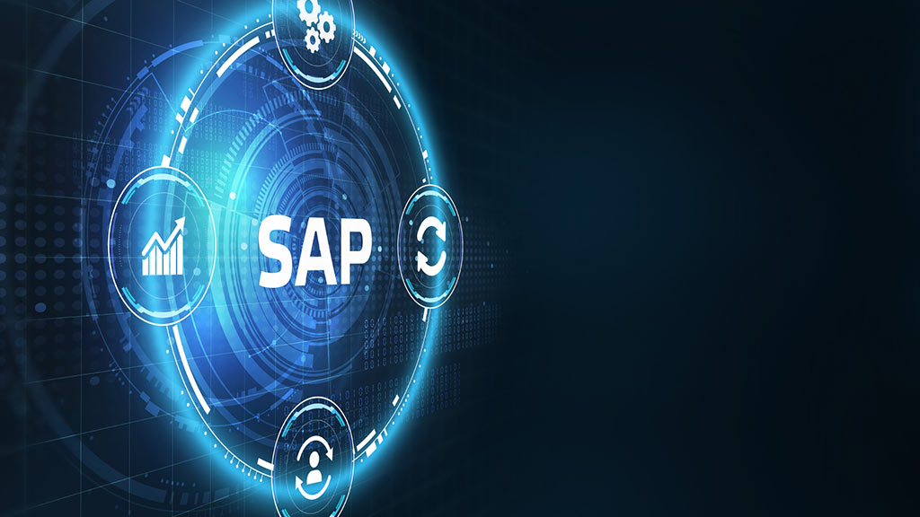 SAP Consulting